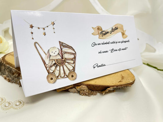 Plic bani botez cod 1527
