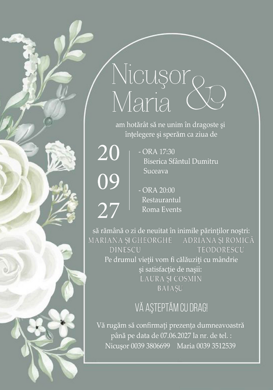 Invitatie digitala IN124